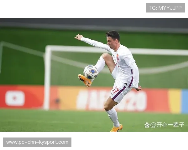 陈哲宣红牌事件引发球迷热议，教训深刻，陈哲1126